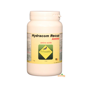 Hydracom Recup Amino 1kg