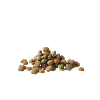 Adulto Mini con cordero 3kg - 6,95€ - Versele-Laga