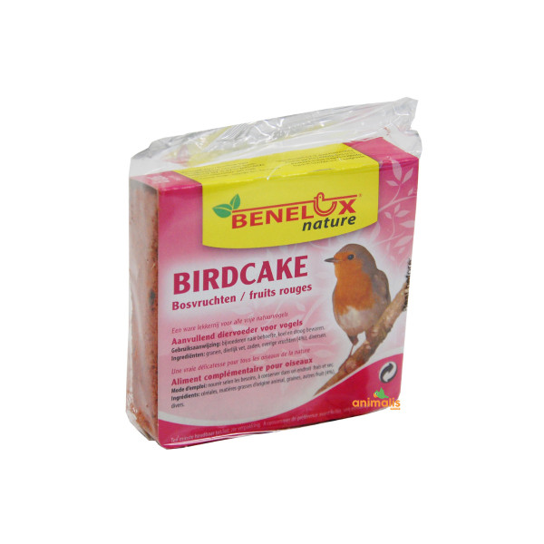 Birdcake ai frutti rossi per gli uccelli del cielo