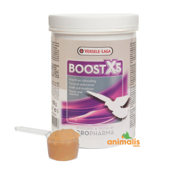 Boost X5 (fuerza y resistencia) 500gr - Versele Laga - Oropharma