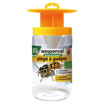 Reusable Wasp Trap - BSI