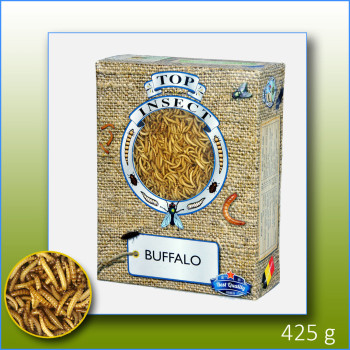 Hacia Buffalo (Insectos congelados) 425g - Topinsect