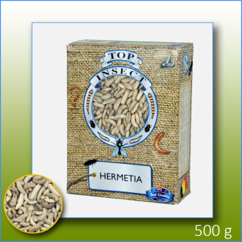 Hermetia (Insetos congelados) 500g - Top Insect