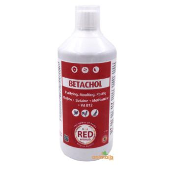 Betachol 1 Litro - Animales rojos