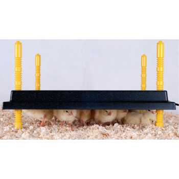 Placa de aquecimento para pintinho 25x25cm - 15W - 220-240V