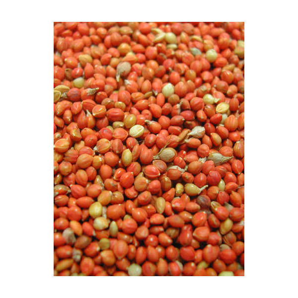 Panis rosso 1kg