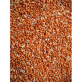 Millet Red 1kg