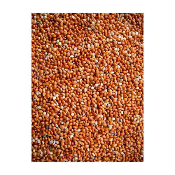 Millet Red 1kg