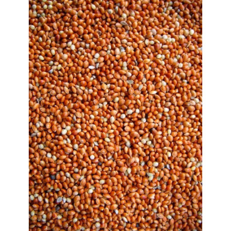 Millet Red 1kg