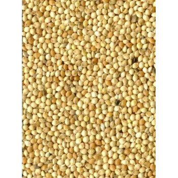 White Millet 1kg