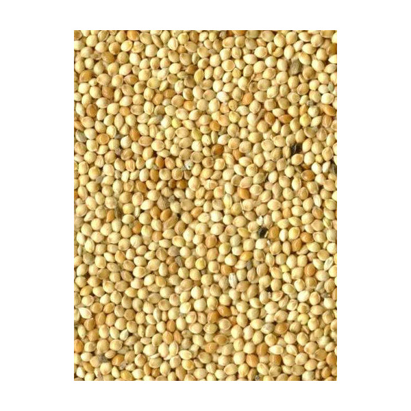 White Millet 1kg