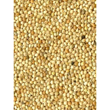 White Millet 1kg