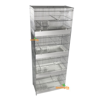 Column 4 cages Domus-molinari chrome