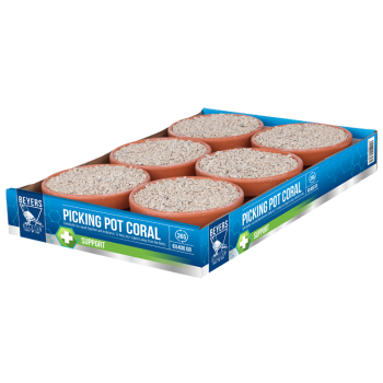 Picking Pot Coral - 6 x 400 GR - Tarros para picotear - Beyers