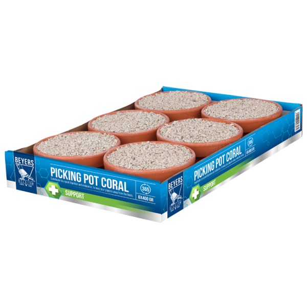 Picking Pot Coral - 6 x 400 GR - Potes para bicarem - Beyers