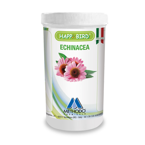 Equinácea 100g - (Antibiótico natural - Doenças respiratórias)