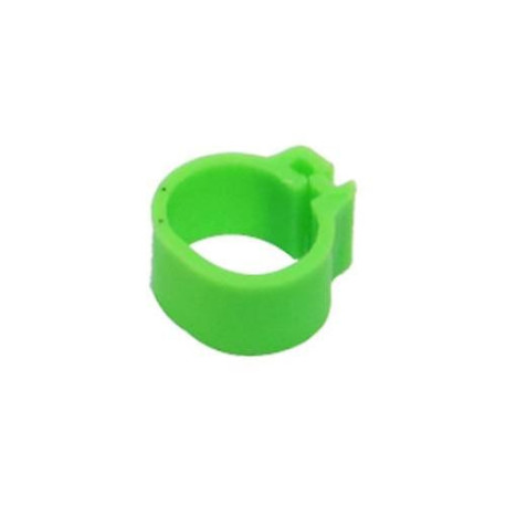 50 Anelli in Plastica per Piccioni - 9mm x 8mm - Colore: Verde Fluorescente