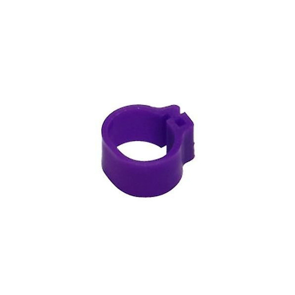 50 Anillos De Plástico Para Palomas - 9mm x 8mm - Color: Violeta