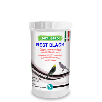 Best Black 500g - Colorant...