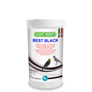 Best Black 500g - Colorante Noir - Happy Bird