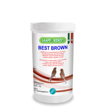 Best Brown 500g - Colorant...