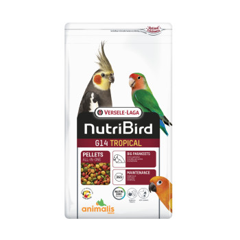 Aliments NutriBird T20 Versele Laga pour grands frugivores Sac 10 kg