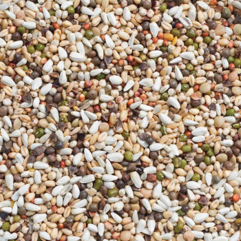 33 - Semi da germinare per grandi parrocchetti e pappagalli 15kg - Deli Nature