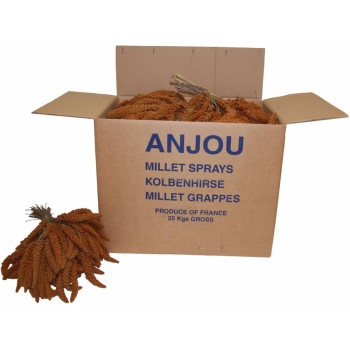 Millet rouge en grappe 15 kg - Français