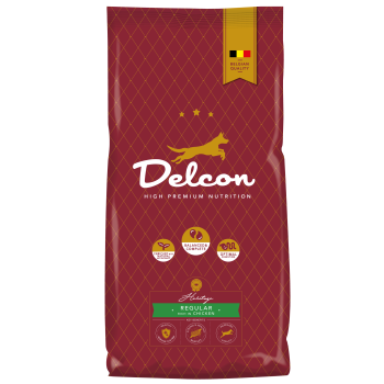 Delcon Regular rico em frango 3kg