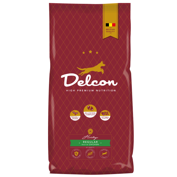 Delcon Regular rico em frango 3kg