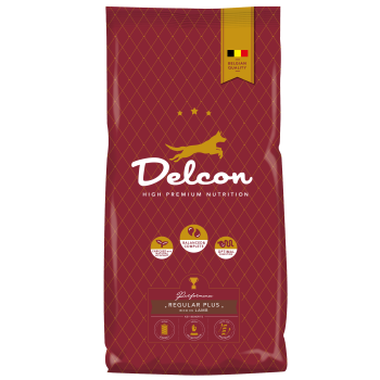 Delcon "Regular Plus" ricco di Agnello 12kg