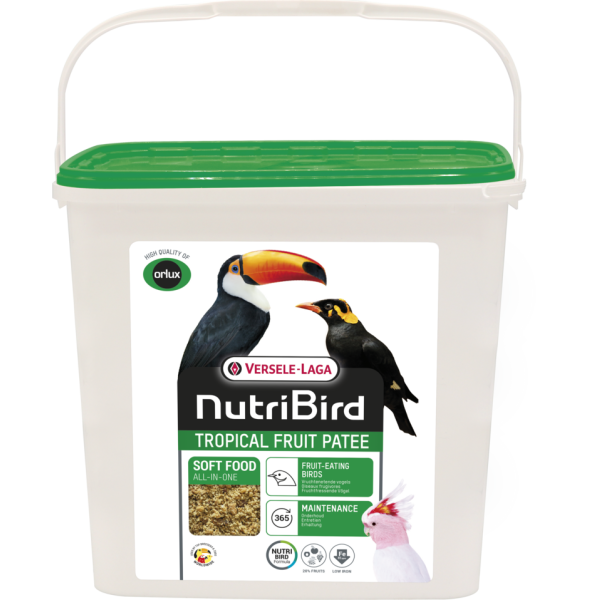 Tropical Pâtée Premium 5kg - Pastoncino ai frutti - Orlux