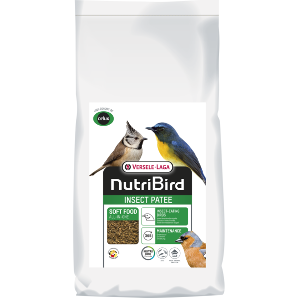 Pasta de insectos 20kg - Alimento completo para todas las aves insectívoras