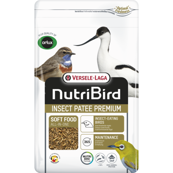 Insect Patee Premium 500g - Alimento Completo Para Todos Los Insectívoros