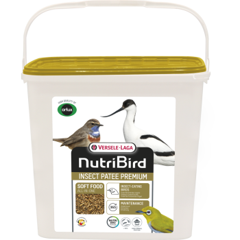 Insect Patee Premium 2kg - Alimento Completo Per Tutti Gli Insettivori