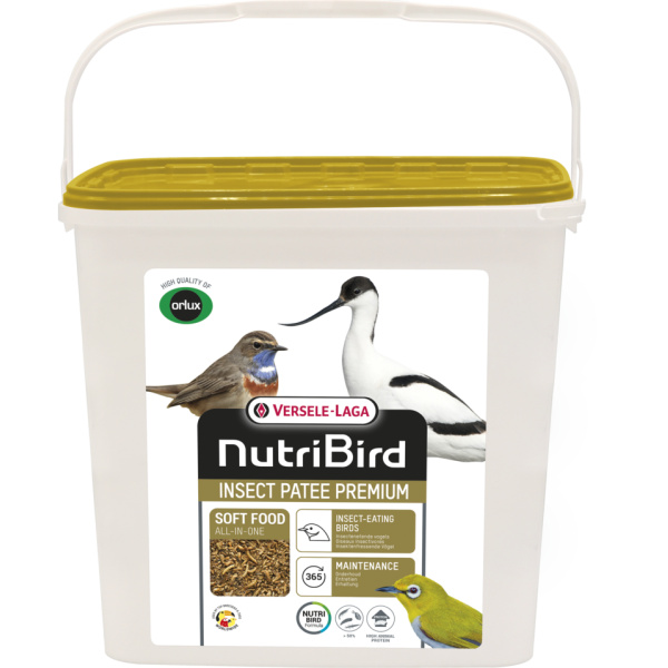 Insect Patee Premium 2kg - Alimento Completo Per Tutti Gli Insettivori