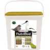 Insect Patee Premium 2kg - Alimento Completo Per Tutti Gli Insettivori